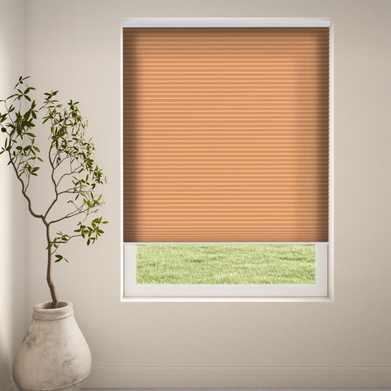 Royale duo tone 2701 Duette