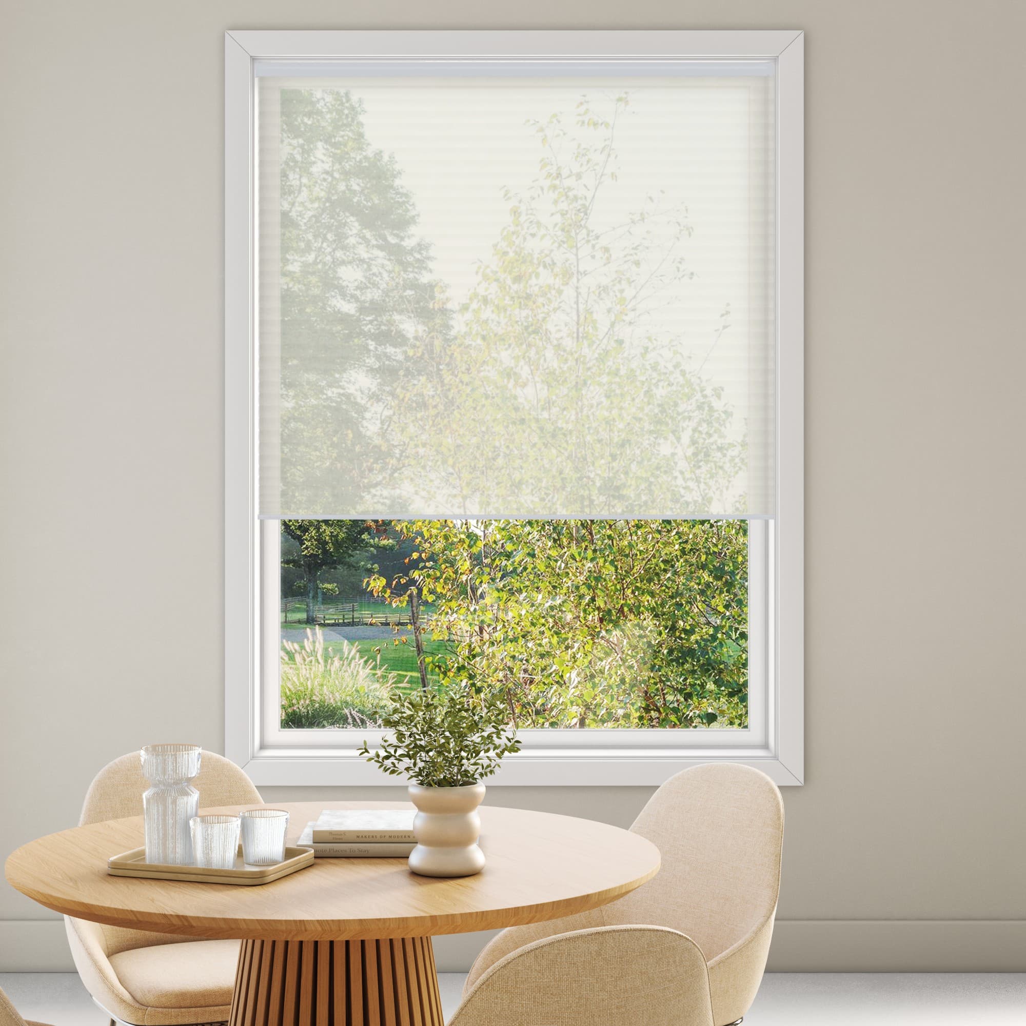 Luna Sheer 1864 Pleated Blind