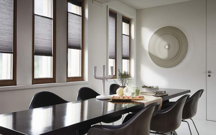 Duette® Shades  met de Top-Down Bottom Up optie, voor pefecte lichtbeheersing en isolatie