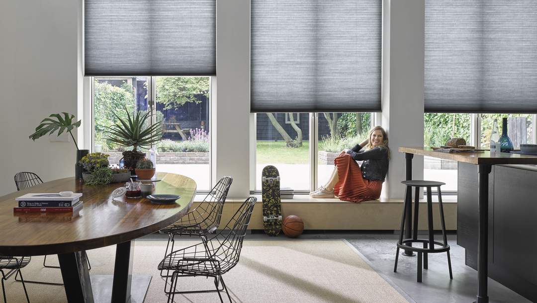 duette shades