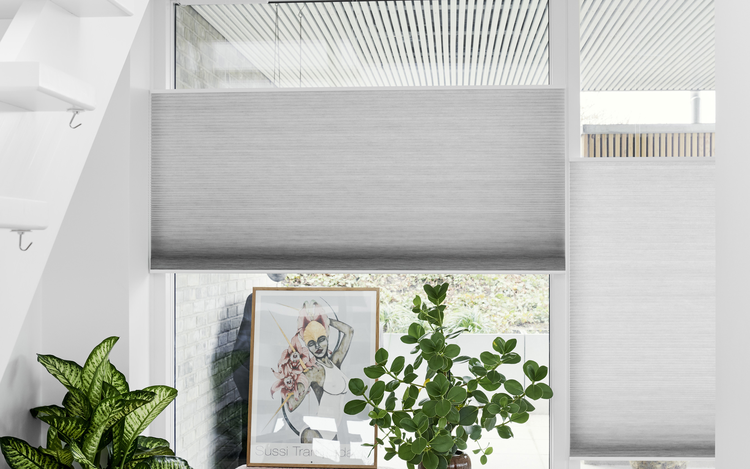 Beelden: grijze Duette® Shades en sfeerbeeld van Luxaflex®