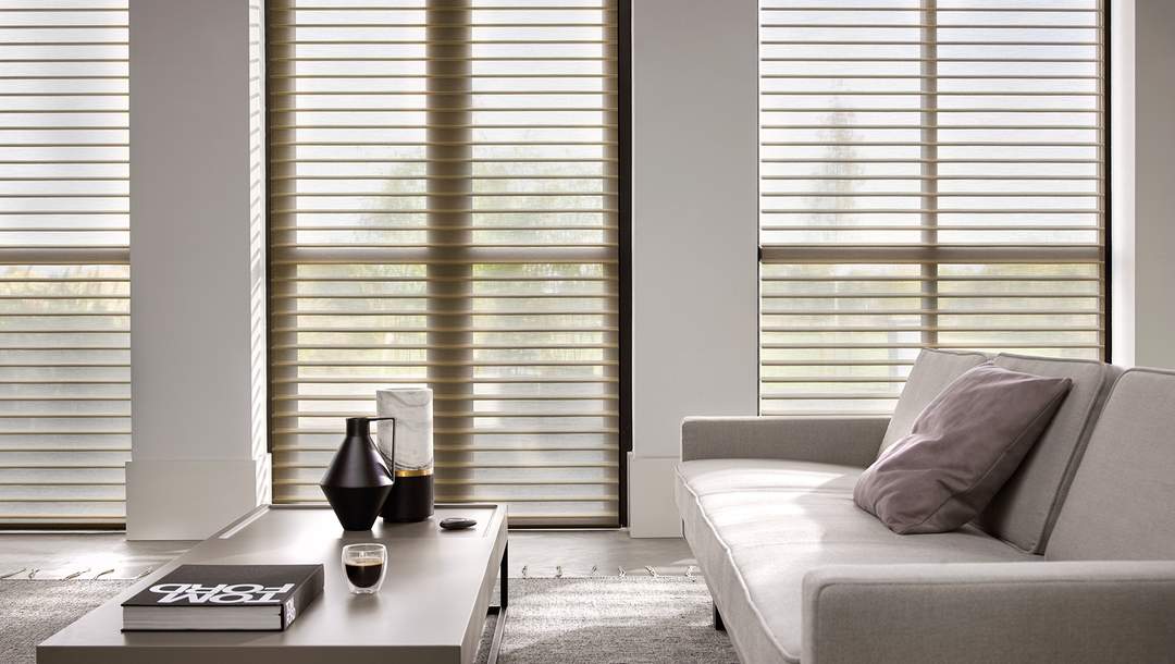 Elektrische Silhouette® Shades