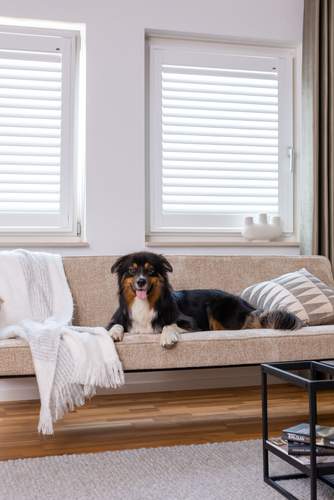 Koud in huis? Zo krijg je het warmer!