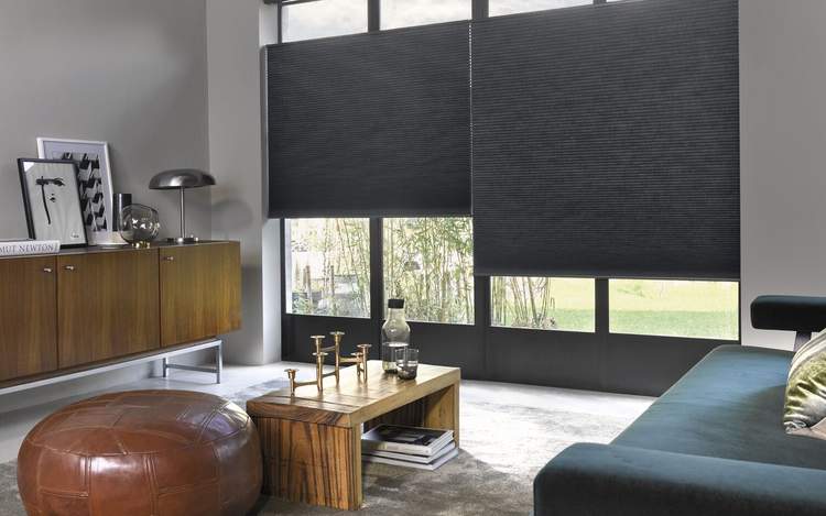 Duette® Architella® shades