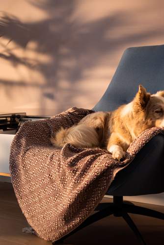 Vier (interieur)tips tegen een winterdip