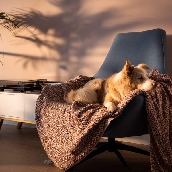 Vier (interieur)tips tegen een winterdip