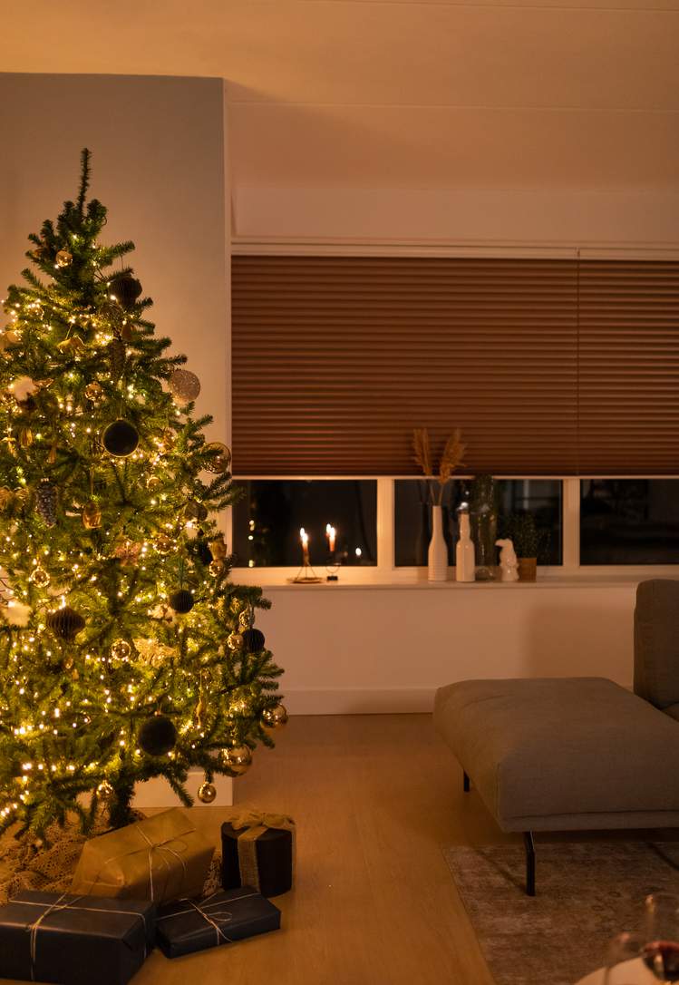 Beeldmateriaal Luxaflex®: Duette® Shades