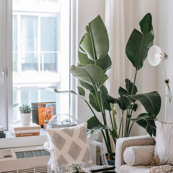 Inspiratieblog