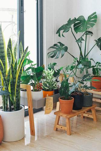 Inspiratieblog