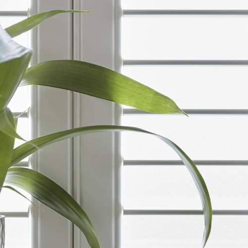 Luxaflex shutters wit